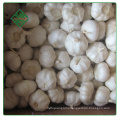 2017 new crop vacuum packed peeled white garic cloves